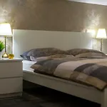شقة Fe